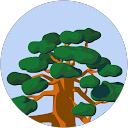 anne C. profile picture